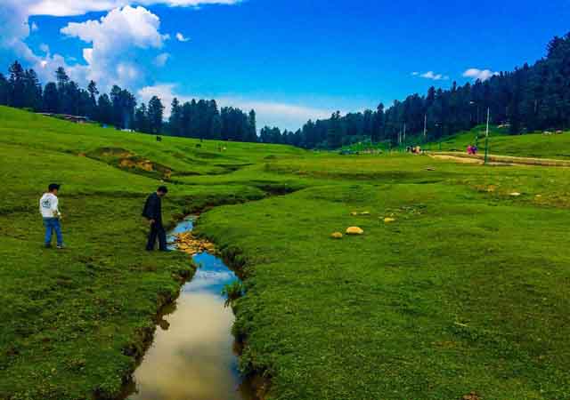 travel agent in katra