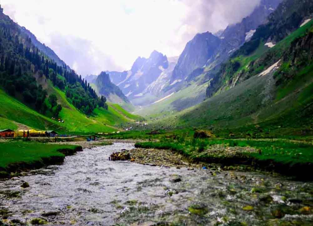 Tour operator in Manali