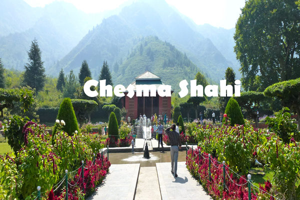 Best Travel Agency in Srinagar