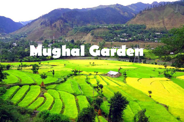 Best Tour operator in Srinagar